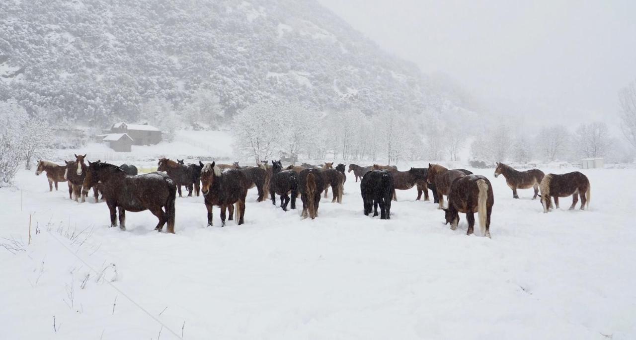 Vora Riu Esterri d'Àneu Exterior foto