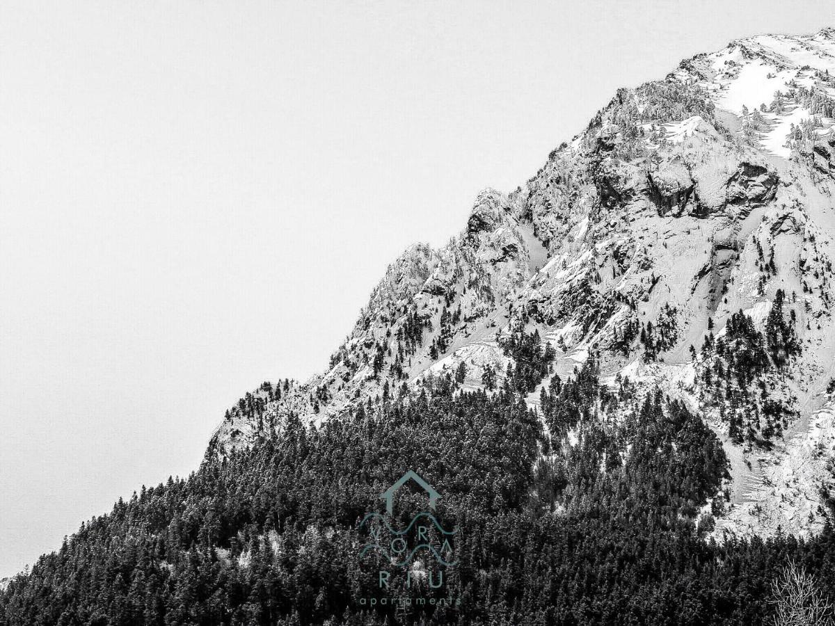 Vora Riu Esterri d'Àneu Exterior foto